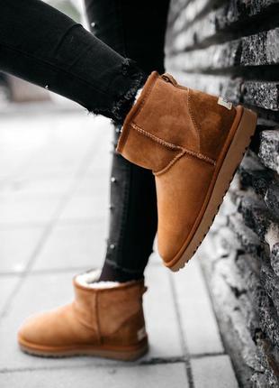 Угги женские зимние❄️ugg w classic mini chestnut❄️уги/угі жіночі с мехом3 фото