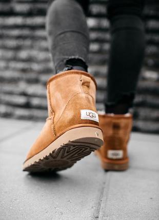 Угги женские зимние❄️ugg w classic mini chestnut❄️уги/угі жіночі с мехом4 фото