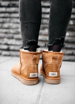 Угги женские зимние❄️ugg w classic mini chestnut❄️уги/угі жіночі с мехом5 фото