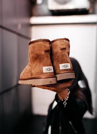 Угги женские зимние❄️ugg w classic mini chestnut❄️уги/угі жіночі с мехом10 фото