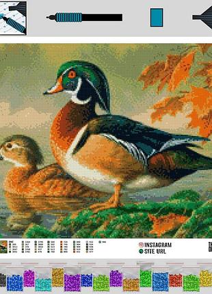 Алмазна вишивка качки мандаринки 50x60 the wortex diamonds (twd20002l)