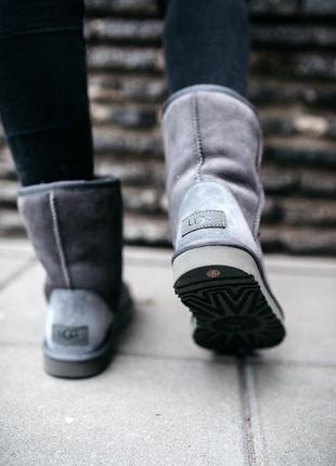 ✳️ugg classic short 2 grey✳️зимние женские серые угги/уги/сапоги с мехом, угі жіночі4 фото