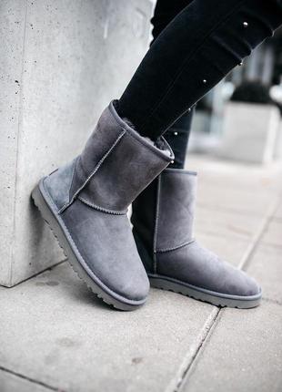 ✳️ugg classic short 2 grey✳️зимние женские серые угги/уги/сапоги с мехом, угі жіночі8 фото