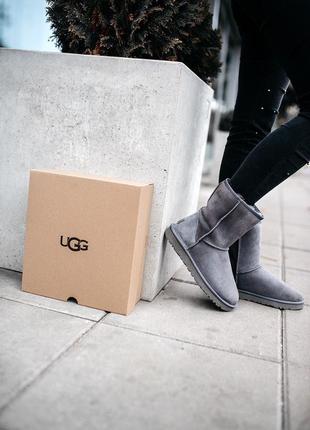 ✳️ugg classic short 2 grey✳️зимние женские серые угги/уги/сапоги с мехом, угі жіночі9 фото