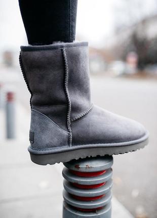 ✳️ugg classic short 2 grey✳️зимние женские серые угги/уги/сапоги с мехом, угі жіночі10 фото