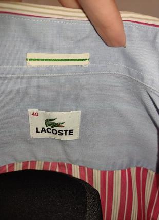 Бавовняна сорочка у смужку з чоловічого плеча lacoste7 фото