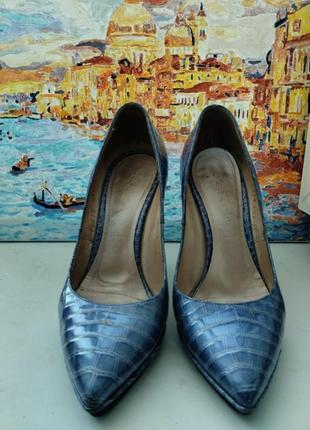 Туфлі човники casadei