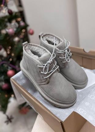 Ugg neumel grey шикарные зимние ботинки с натуральным мехом /осень/зима/весна😍1 фото