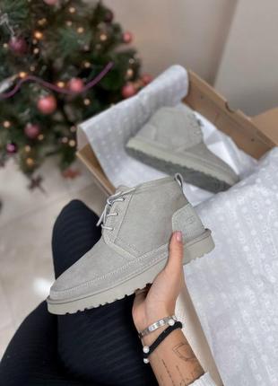 Ugg neumel grey шикарные зимние ботинки с натуральным мехом /осень/зима/весна😍5 фото