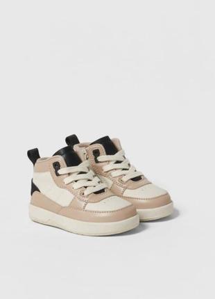 Хайтопи, високі кеди