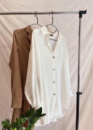 Удлиненная блуза от zara белая блуза1 фото
