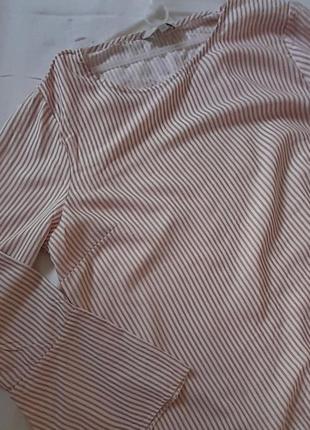 Нежная изящная блуза