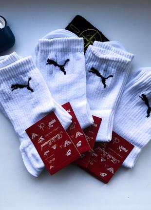 Шкарпетки чоловічі демісезонні спортивні високі з тенісною гумкою з бавовни puma розмір 41-45 білі