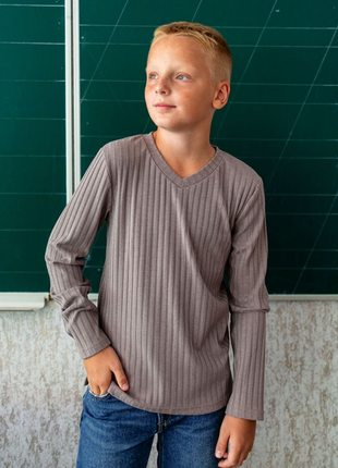 Подростковый джемпер школьный рубчик мустанг, кофта для мальчиков