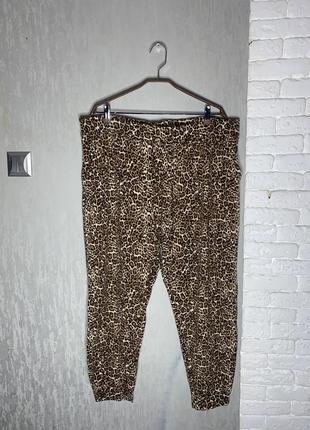 Трикотажні штани з кишенями у леопардовий принт великого розміру батал primark, xxxxl 54-56р