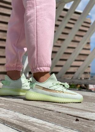 Adidas yeezy boost 350 v24 фото