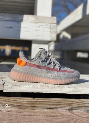 Adidas yeezy boost 350 v27 фото