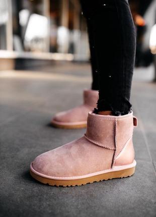 Женские зимние угги/сапоги с мехом😍ugg classic mini pink😍розовые уги зима кожа3 фото