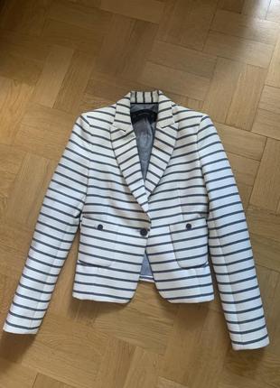 Zara  актуальный пиджак укороченный  basic p.s/xs