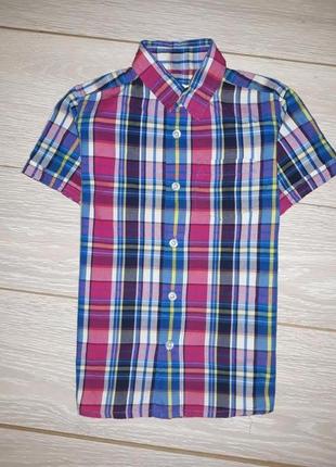 Яркая рубашка debenhams на 6 лет