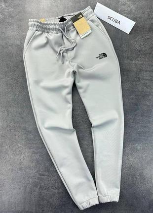 Мужские серые спортивные штаны брюки the north face сірі спортивні штани the north face найк