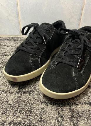 Шкіряні кросівки ecco 36р