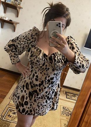 Міні- сукня або туніка леопардова missguided xxl
