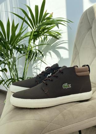 Кеды высокие кожные оригинал lacoste ampthill terra