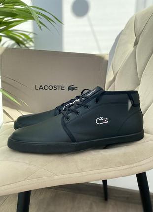 Кеди високі шкіряні оригінал lacoste ampthill