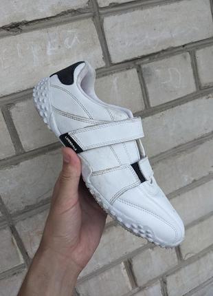 Кроссовки lonsdale оригинал