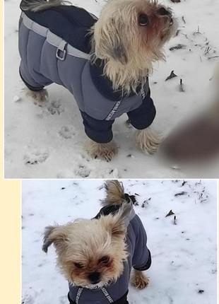 Комбінезон зимовий, теплий для собачки, собаки1 фото