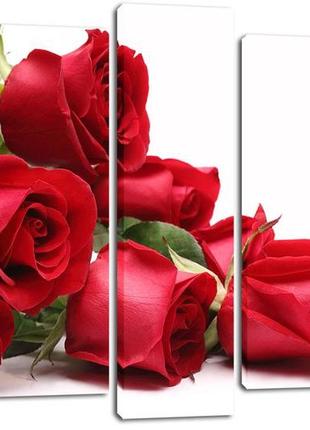 Настінний годинник-картина на полотні декор карпати 80x120 см (chf34)