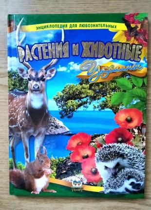 Книжка для дітей молодшого шкільного віку. пізнавальна енциклопедія рослин та тварин.