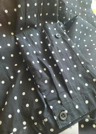 Блуза большого размера sheego8 фото