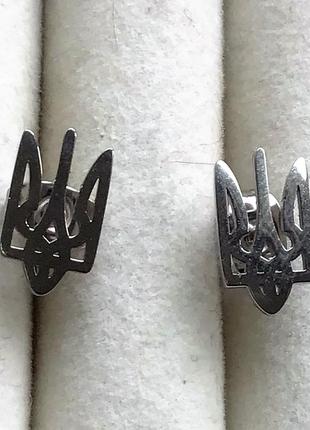 Сережки xuping ttm stainless steel пусети "герб україни"4 фото