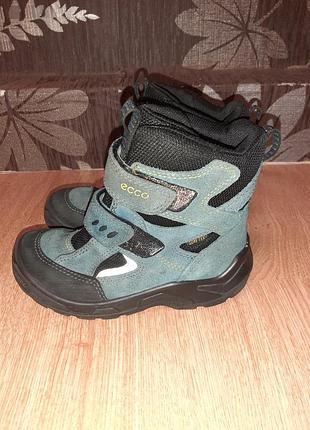 Стильні сапоги ecco