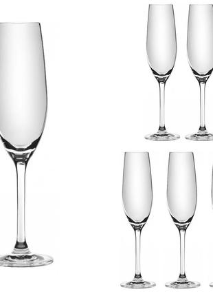 Набор бокалов для шампанского 210ml 6шт лорен ngc6setchamp1 фото