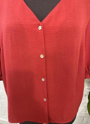Распродажа блузка блуза р 52(18)7 фото