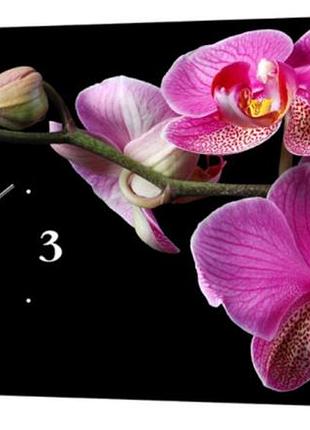 Настінний годинник profart на полотні 30 x 53 см орхідеї (02_s)