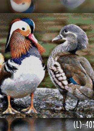 Алмазна мозаїка на підрамнику качки мандаринки 50x60 the wortex diamonds (twd20072)