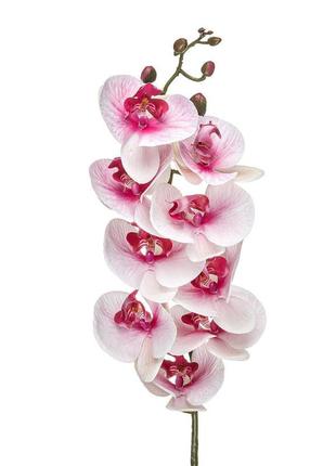 Штучна орхідея фаленопсис, 9 голів, ряба