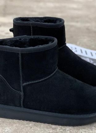 Зимние натуральные, замшевые угги, ugg 40, 41 размера2 фото