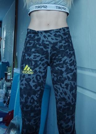 🔥лосины спортивные adidas для бега фитнеса йоги спорта камуфляж адидас