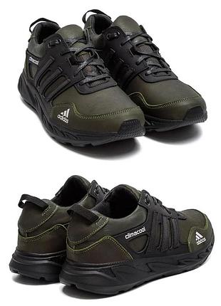 Кросівки чоловічі шкіряні adidas climacool olive-black