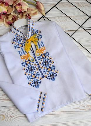 Вишиванка на хлопчика "дворольорові герби на домотканці"