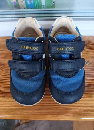 Кроссовки на мальчика geox2 фото
