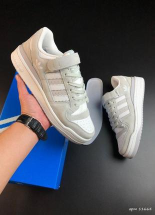 Мужские кроссовки adidas forum low white grey