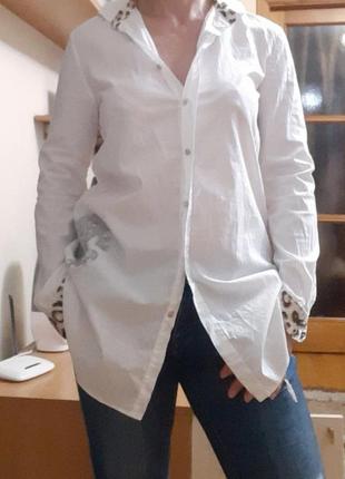 Рубашка roberto cavalli