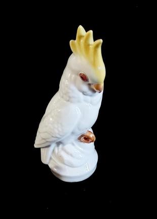 Статуэтка фарфоровая попугай винтажная ссср1 фото