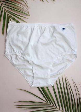 Коттоновые трусики высокая посадка xl
